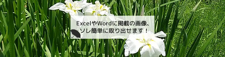 Windows]ExcelやWordに掲載の画像、ソレ簡単に取り出せます