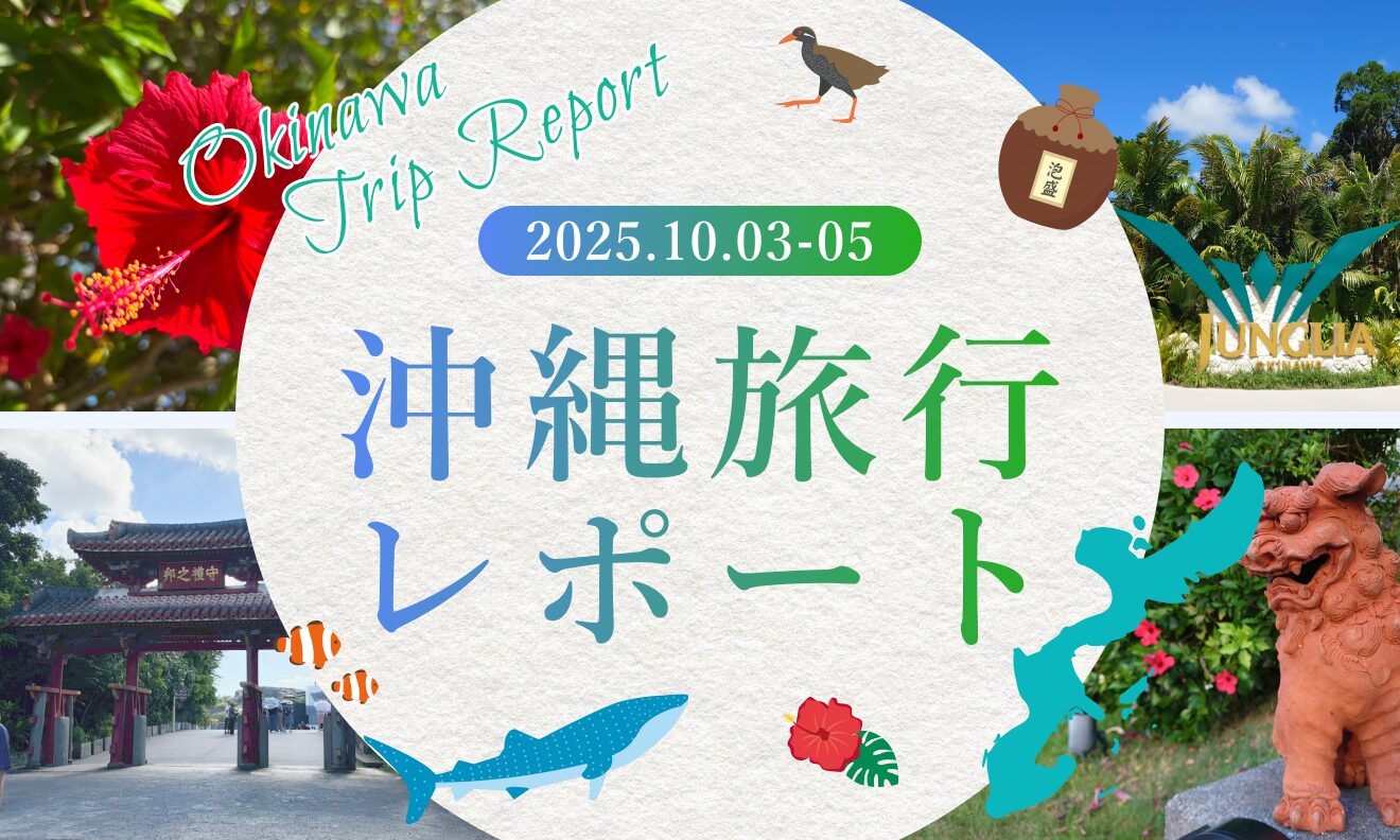 【2025年社員旅行】沖縄に行ってきました！