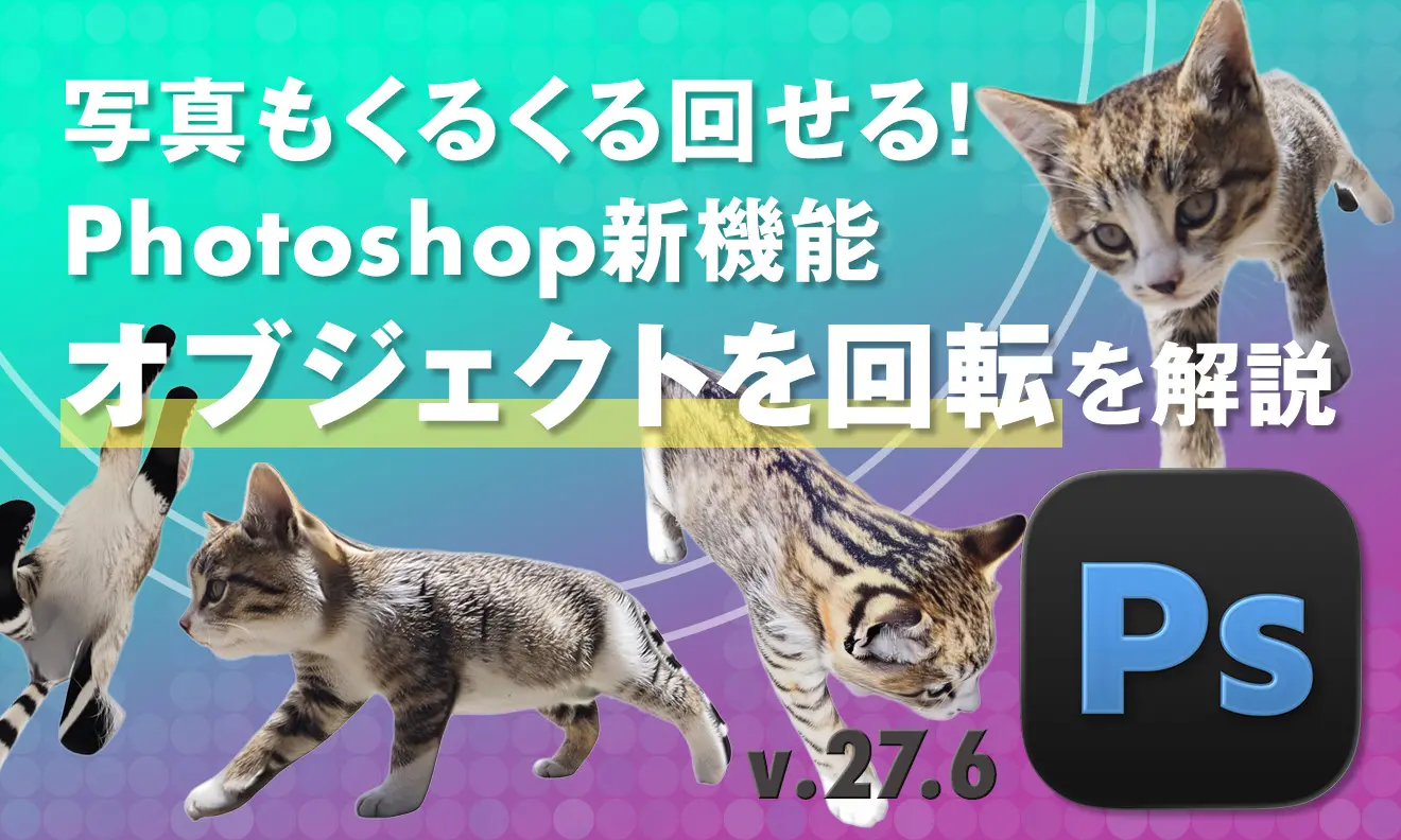 Maromaro Blog | 東京都府中市、神田のWEB制作会社が運営するブログです。